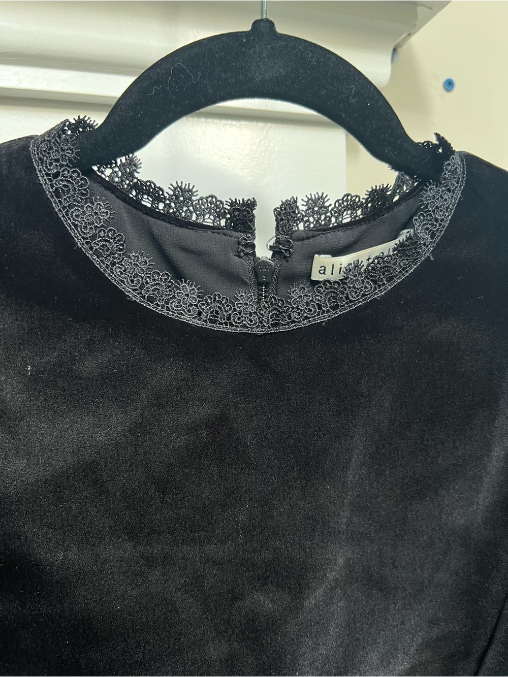 Alice + Olivia Velvet Dress - Picture 6 of 9